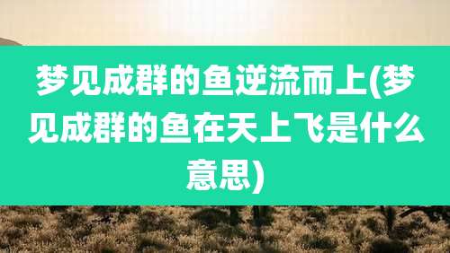 梦见成群的鱼逆流而上(梦见成群的鱼在天上飞是什么意思)