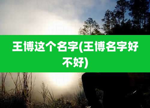 王博这个名字(王博名字好不好)