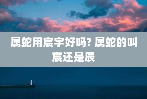 属蛇用宸字好吗? 属蛇的叫宸还是辰