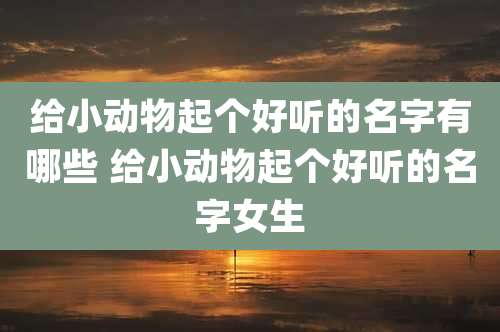 给小动物起个好听的名字有哪些 给小动物起个好听的名字女生