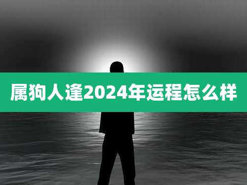 属狗人逢2024年运程怎么样