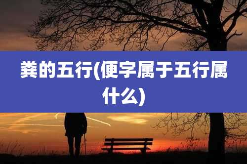 粪的五行(便字属于五行属什么)