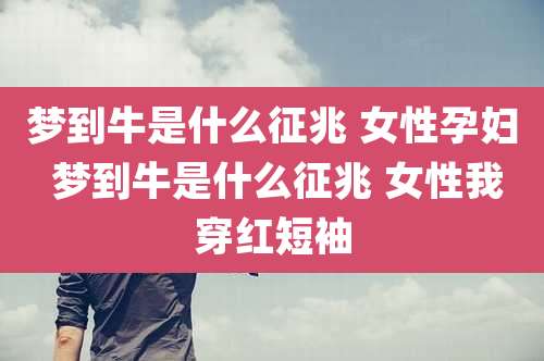 梦到牛是什么征兆 女性孕妇 梦到牛是什么征兆 女性我穿红短袖