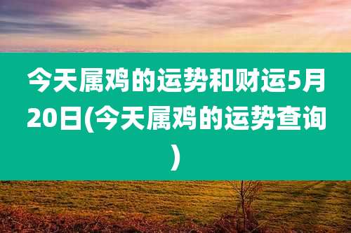 今天属鸡的运势和财运5月20日(今天属鸡的运势查询)