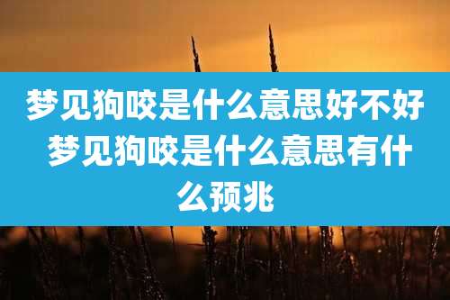 梦见狗咬是什么意思好不好 梦见狗咬是什么意思有什么预兆