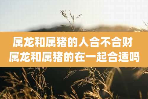 属龙和属猪的人合不合财 属龙和属猪的在一起合适吗