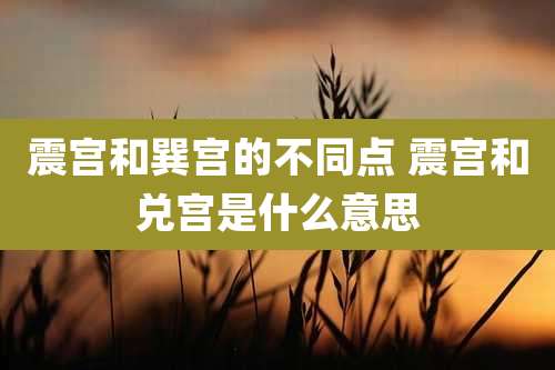 震宫和巽宫的不同点 震宫和兑宫是什么意思