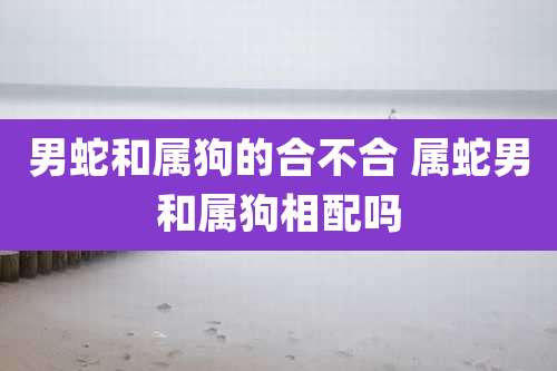 男蛇和属狗的合不合 属蛇男和属狗相配吗