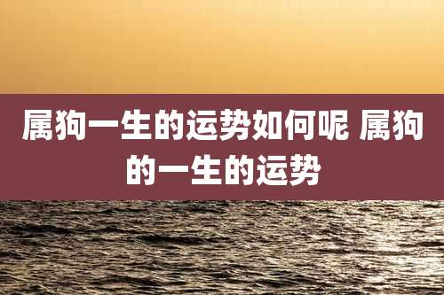 属狗一生的运势如何呢 属狗的一生的运势