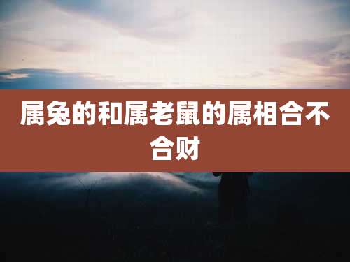 属兔的和属老鼠的属相合不合财