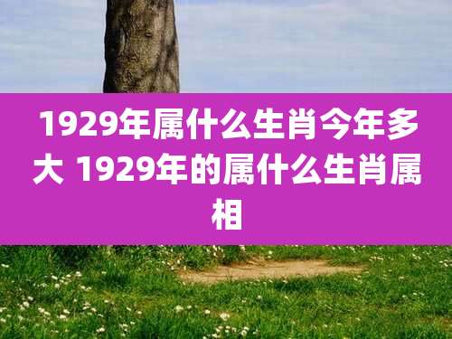 1929年属什么生肖今年多大 1929年的属什么生肖属相