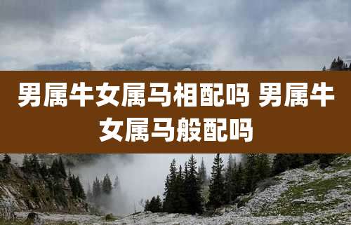 男属牛女属马相配吗 男属牛女属马般配吗