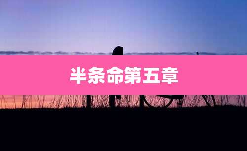 半条命第五章