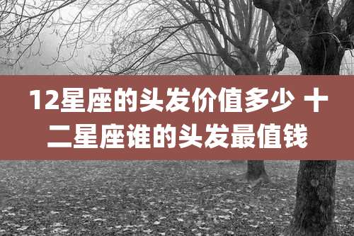 12星座的头发价值多少 十二星座谁的头发最值钱