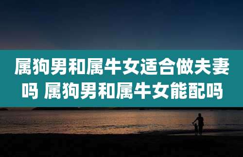 属狗男和属牛女适合做夫妻吗 属狗男和属牛女能配吗