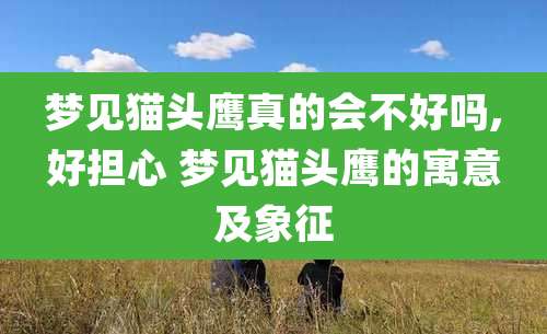 梦见猫头鹰真的会不好吗,好担心 梦见猫头鹰的寓意及象征