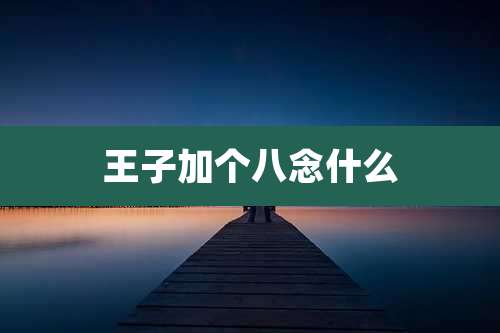 王子加个八念什么