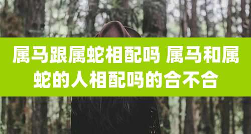 属马跟属蛇相配吗 属马和属蛇的人相配吗的合不合