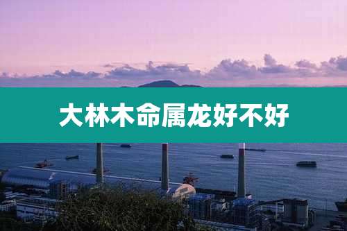 大林木命属龙好不好