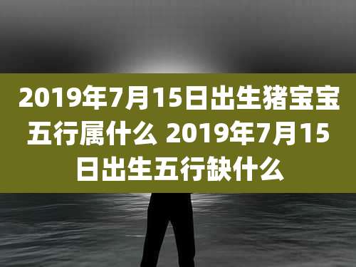 2019年7月15日出生猪宝宝五行属什么 2019年7月15日出生五行缺什么