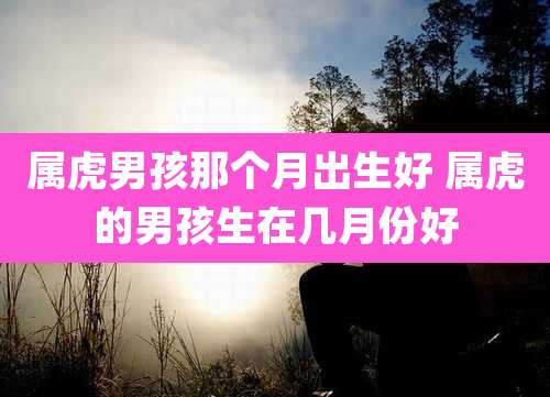 属虎男孩那个月出生好 属虎的男孩生在几月份好