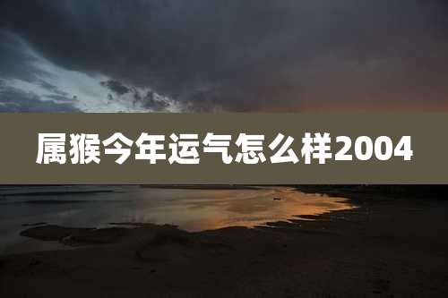 属猴今年运气怎么样2004