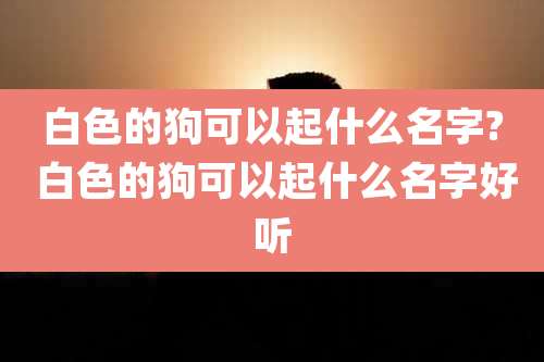 白色的狗可以起什么名字? 白色的狗可以起什么名字好听
