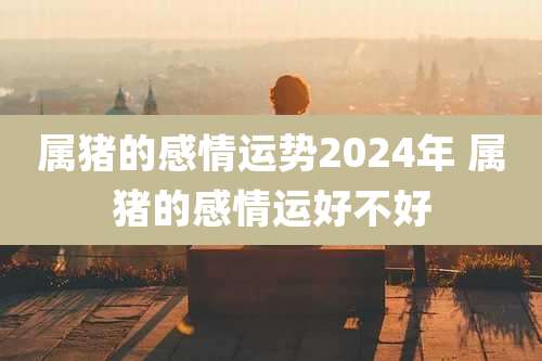 属猪的感情运势2024年 属猪的感情运好不好