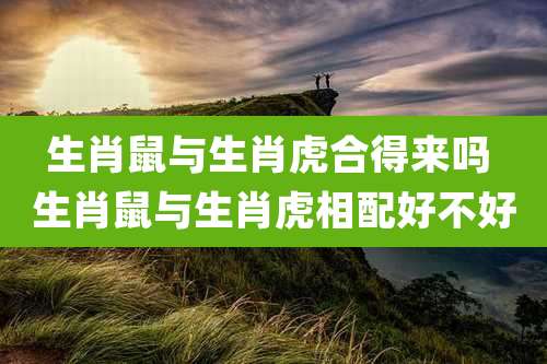 生肖鼠与生肖虎合得来吗 生肖鼠与生肖虎相配好不好