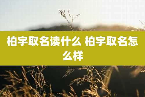 柏字取名读什么 柏字取名怎么样
