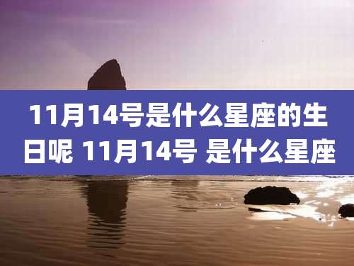 11月14号是什么星座的生日呢 11月14号 是什么星座