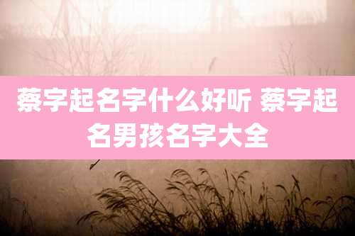 蔡字起名字什么好听 蔡字起名男孩名字大全