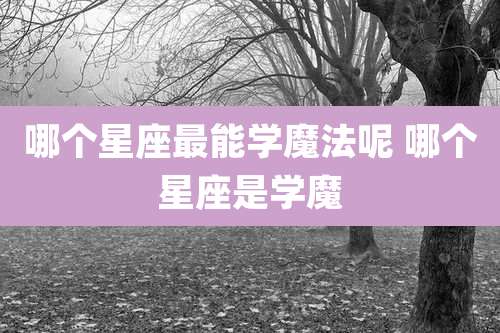 哪个星座最能学魔法呢 哪个星座是学魔