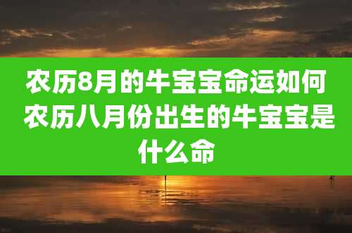 农历8月的牛宝宝命运如何 农历八月份出生的牛宝宝是什么命