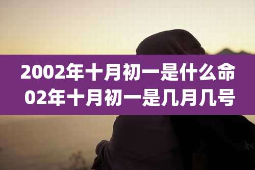2002年十月初一是什么命 02年十月初一是几月几号