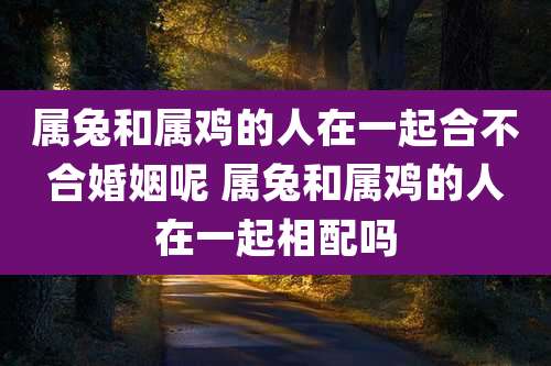 属兔和属鸡的人在一起合不合婚姻呢 属兔和属鸡的人在一起相配吗