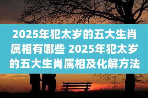 2025年犯太岁的五大生肖属相有哪些 2025年犯太岁的五大生肖属相及化解方法