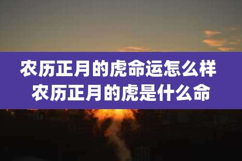 农历正月的虎命运怎么样 农历正月的虎是什么命