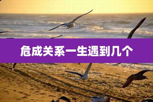 危成关系一生遇到几个
