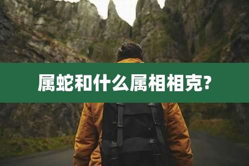 属蛇和什么属相相克?