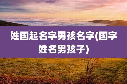 姓国起名字男孩名字(国字姓名男孩子)