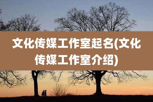 文化传媒工作室起名(文化传媒工作室介绍)