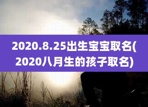2020.8.25出生宝宝取名(2020八月生的孩子取名)
