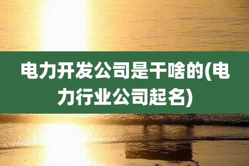 电力开发公司是干啥的(电力行业公司起名)