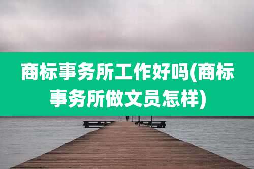 商标事务所工作好吗(商标事务所做文员怎样)