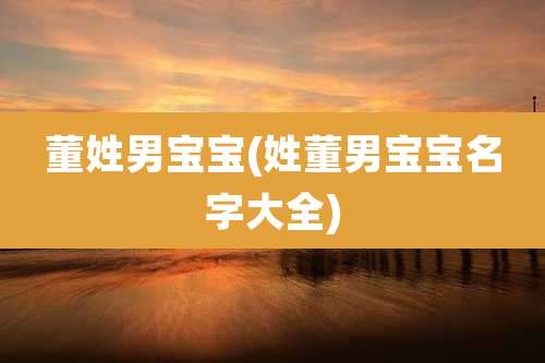 董姓男宝宝(姓董男宝宝名字大全)