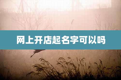 网上开店起名字可以吗