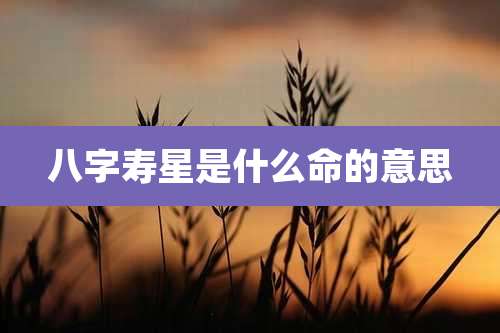 八字寿星是什么命的意思