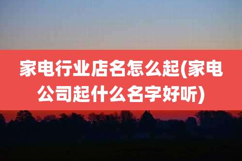 家电行业店名怎么起(家电公司起什么名字好听)