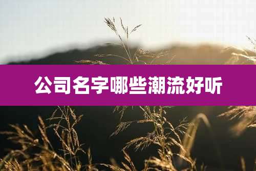 公司名字哪些潮流好听